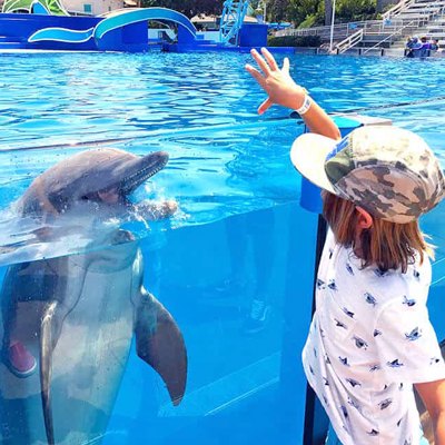 Niño y Delfin en cautiverio