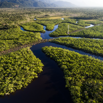 Amazonas Incendio